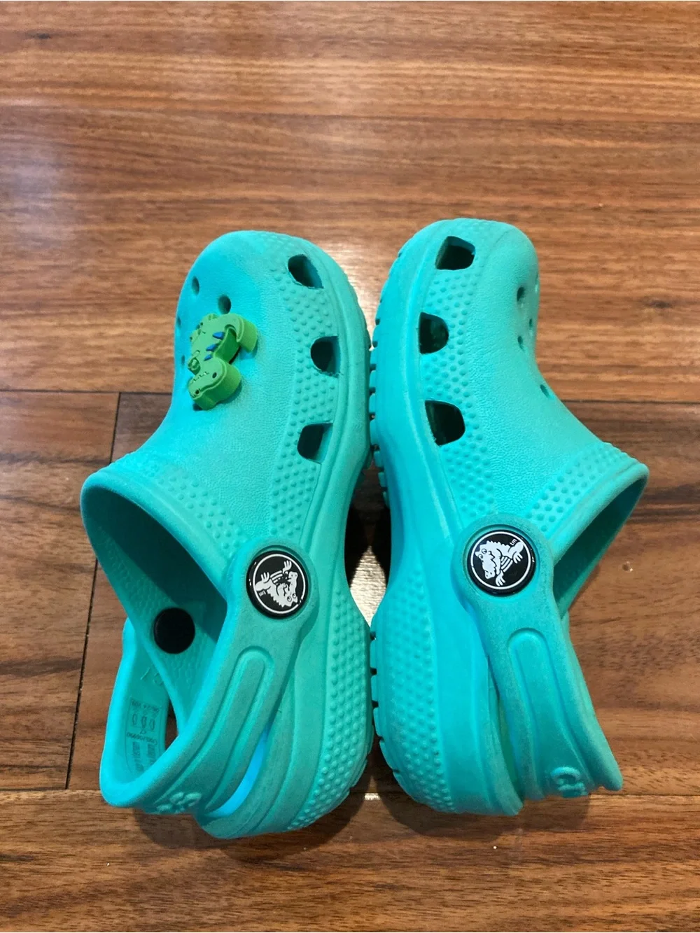 Kids Aqua Clog Shoes with Dinosaur Charm SZ C7